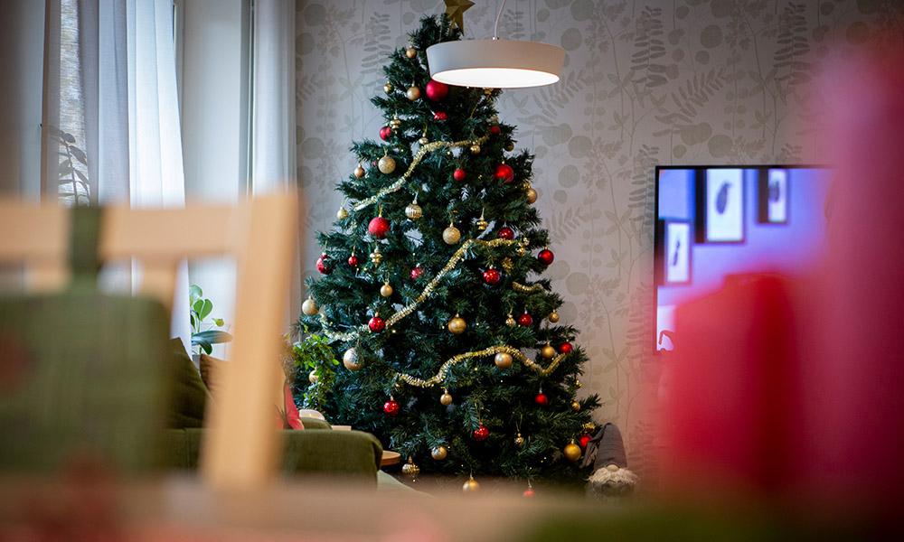 Vi klär julgranen tillsammans